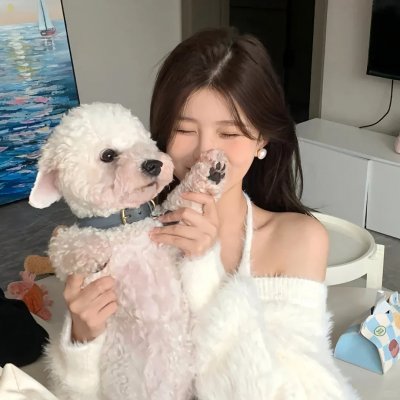 杰克盖的房子